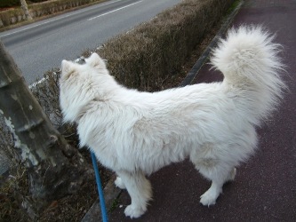 saburou3gatu.jpg