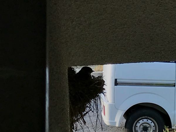 rblog-20180702234917-01.jpg