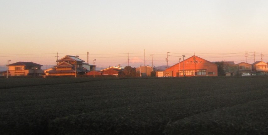 IMG_8625.JPG