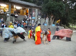 271025umaba
