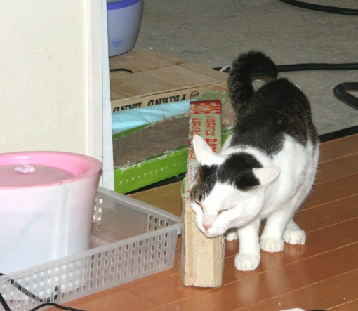 20151204ﾋﾒ04.jpg