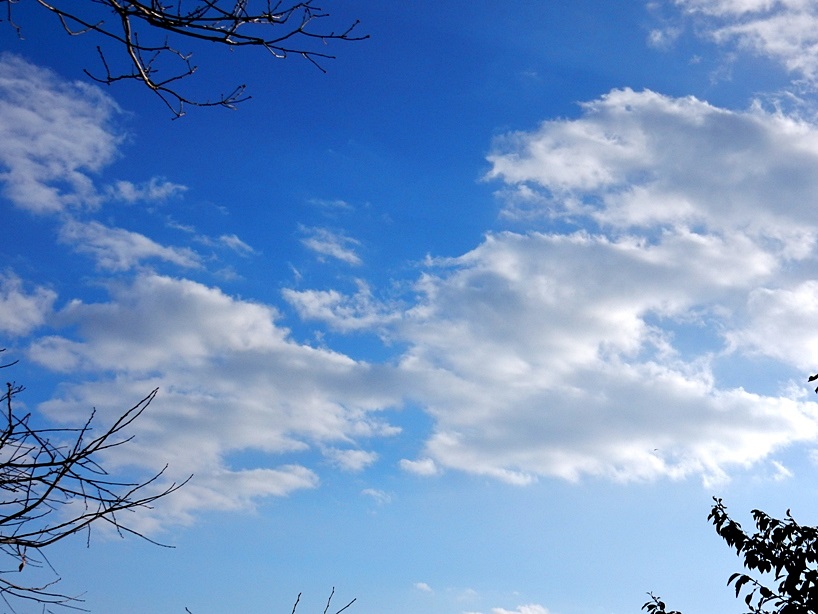 空5.JPG