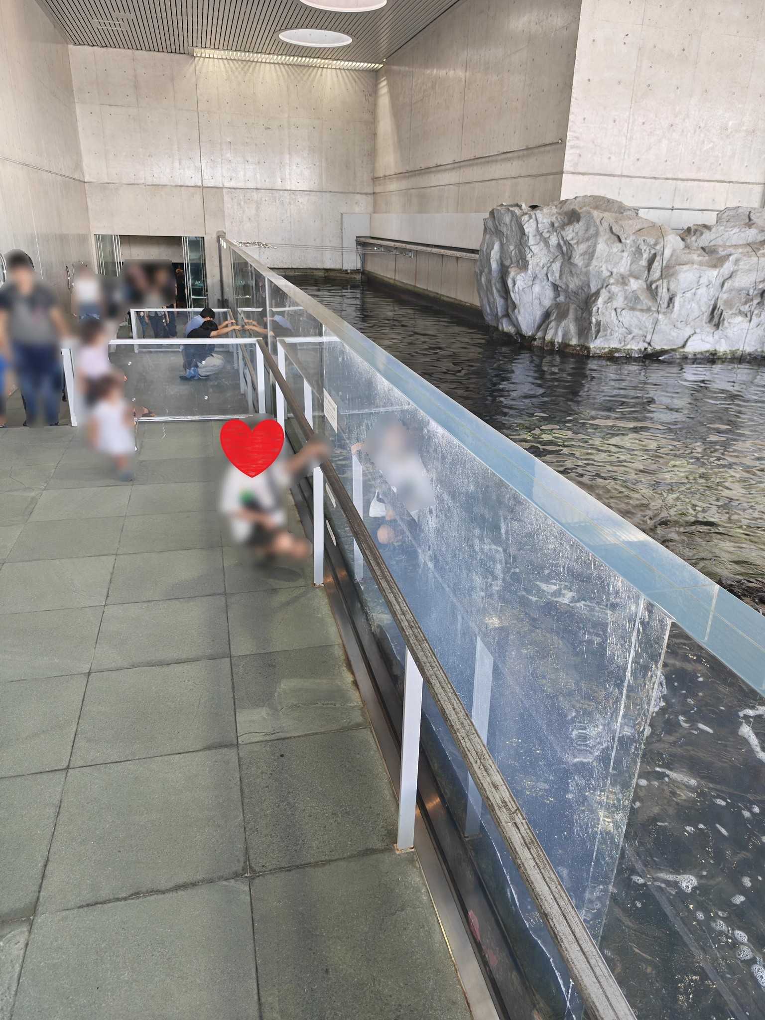 子連れ葛西臨海水族園　磯場