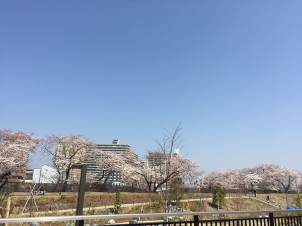 rblog-20180329055248-06.jpg