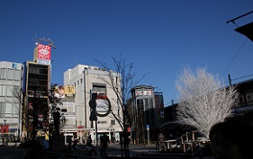 IMG_6164-20.jpg