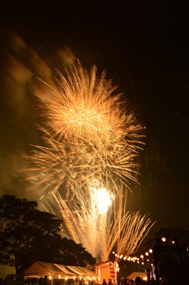 北島ひょうたん夏祭り花火大会 ツーリズム徳島 見てみ 来てみ 徳島観光 四国旅行 とくしま観光ボランティア 楽天ブログ