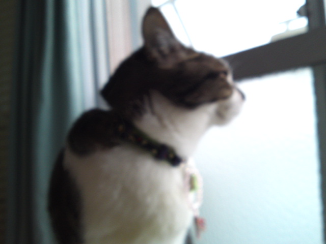 2012-04-16 06:10:28