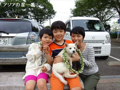 20160508 徳島 阿波踊り15