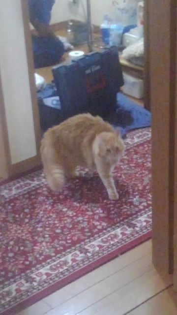 rblog-20181007090624-02.jpg
