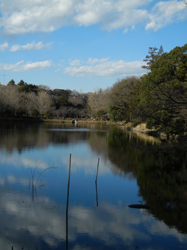 三ツ池公園にて