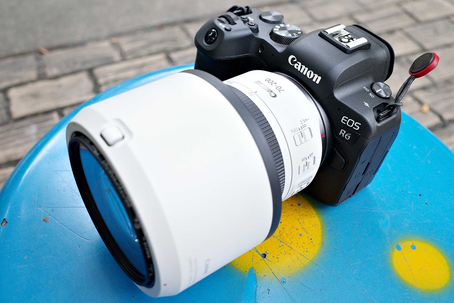Canon Eos R6 Rf70 0mm F4 L Is Usm イルカカメラとわんわんwinとねこmac 楽天ブログ