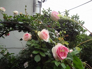 DSC05254.jpg