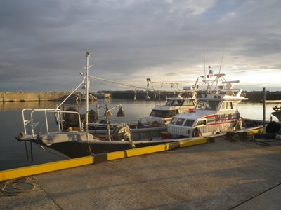 IMGP4281.JPG
