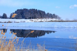 IMG_9935.jpg