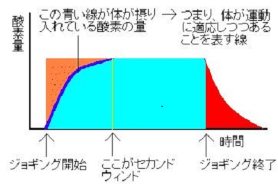 ｾｶﾝﾄﾞｳｨﾝﾄﾞ01.JPG