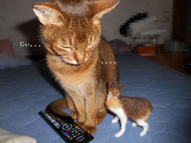 ｗｗｗ.jpg