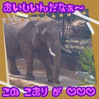 さるといもG.jpg