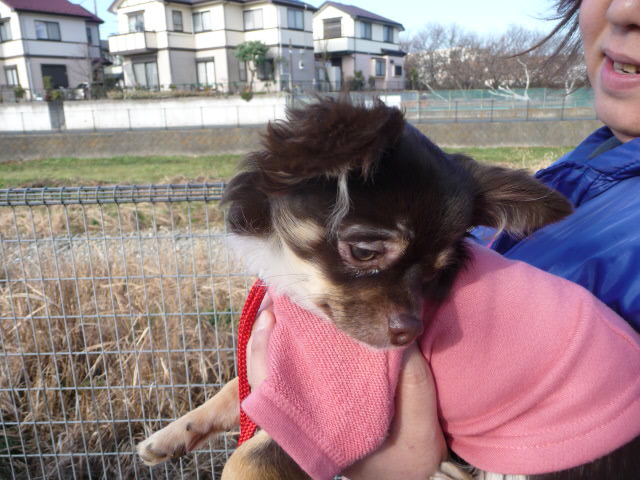 63 ネオちゃん