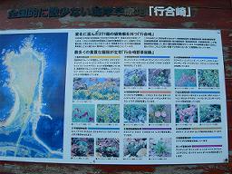 DSCN5851-w256.jpg