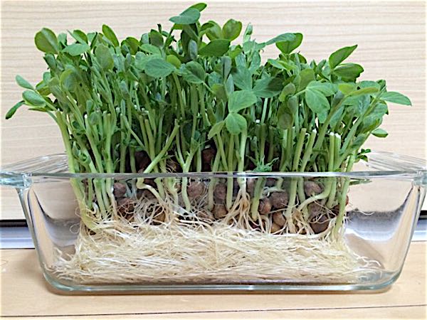 rblog-20180313113105-02.jpg