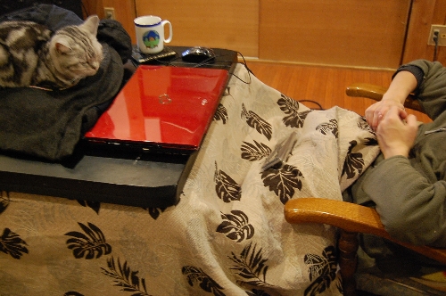 DSC_0202.JPG