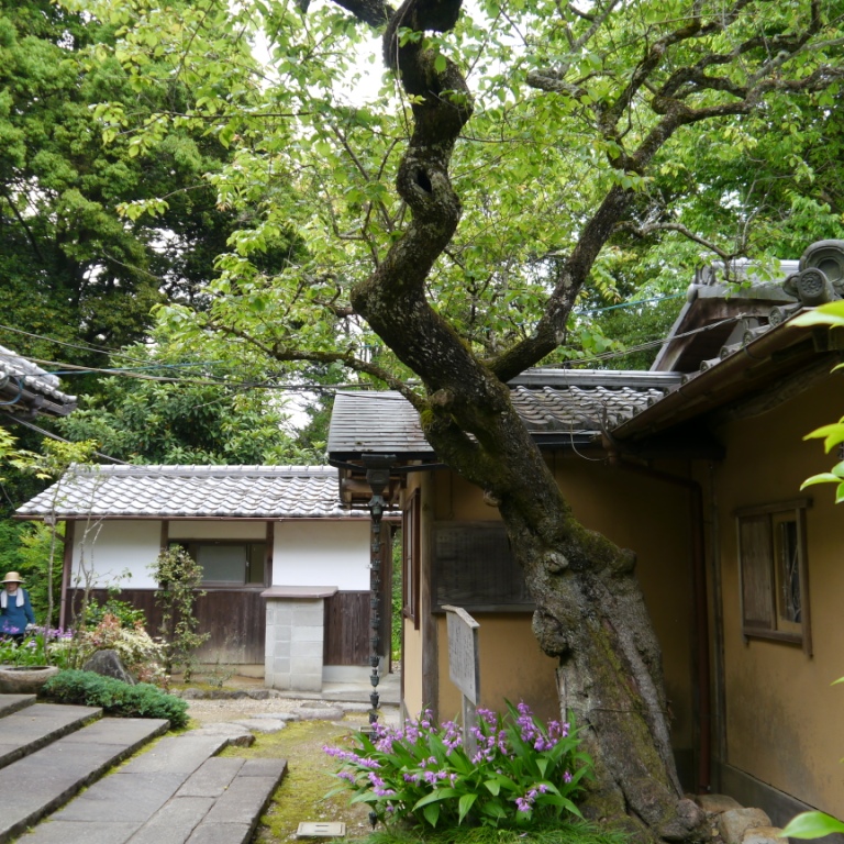 P1070437.JPG