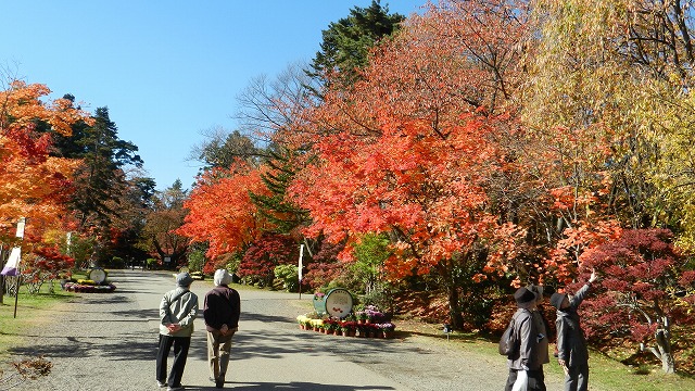 DSCN5447.jpg