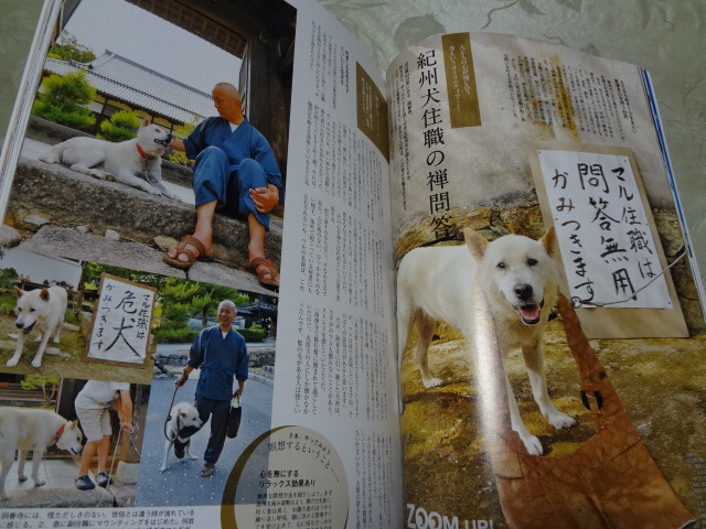DSC01115.JPG