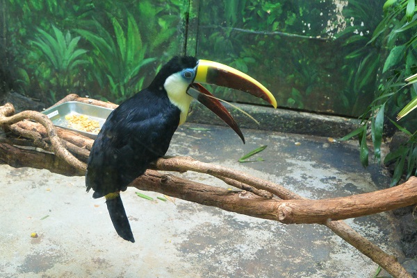 シャボテン公園