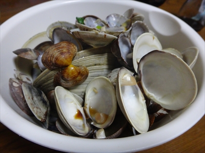 DSC00950_R.JPG