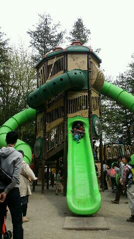 img20140413_213151.jpg