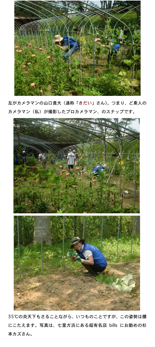 2013.08.16-07.jpg