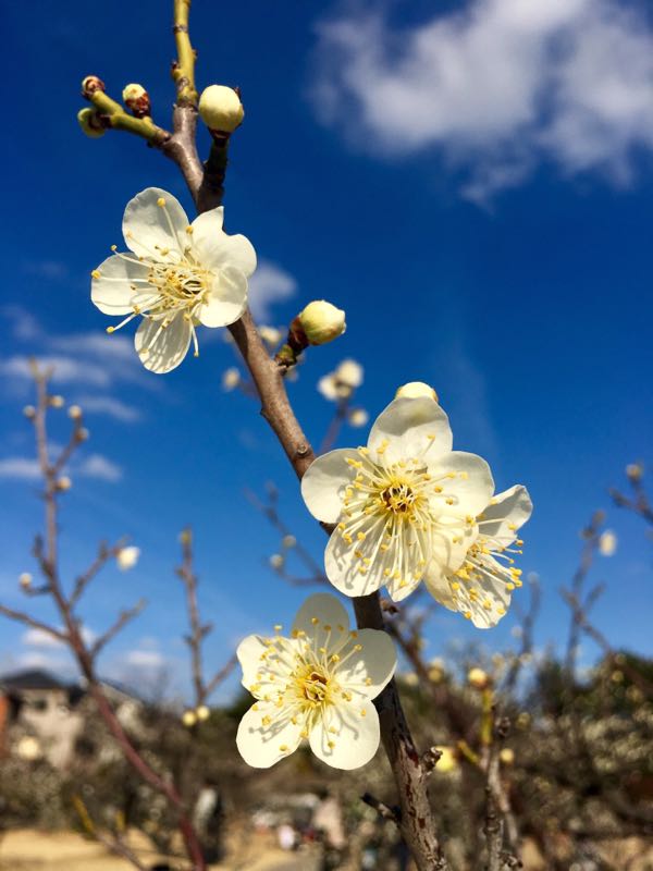 rblog-20180304233813-02.jpg