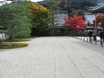天竜寺４.jpg