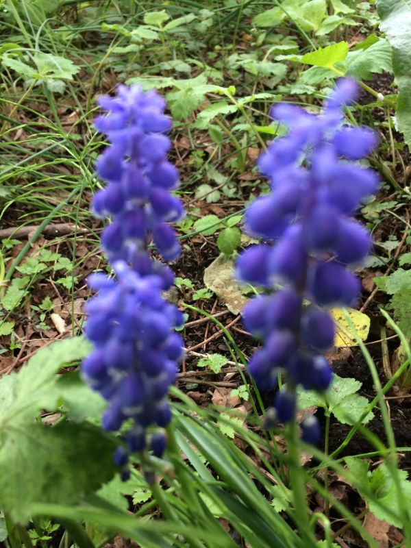 rblog-20140528164326-02.jpg