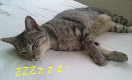 20120908_4.jpg