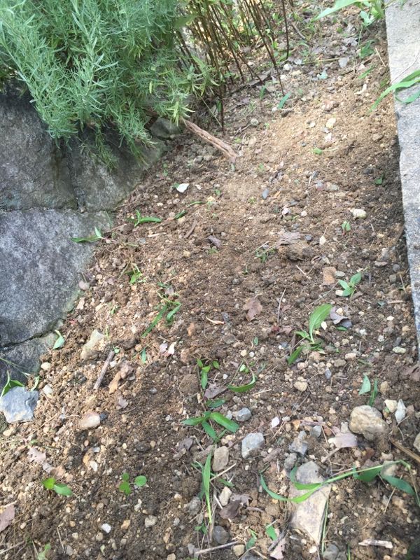 rblog-20160718234419-09.jpg