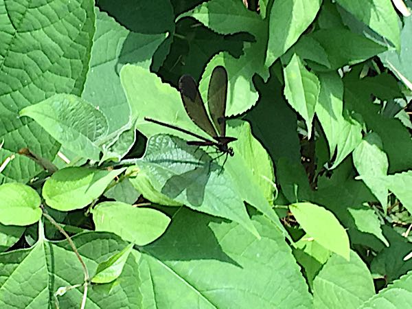 rblog-20180622201108-02.jpg