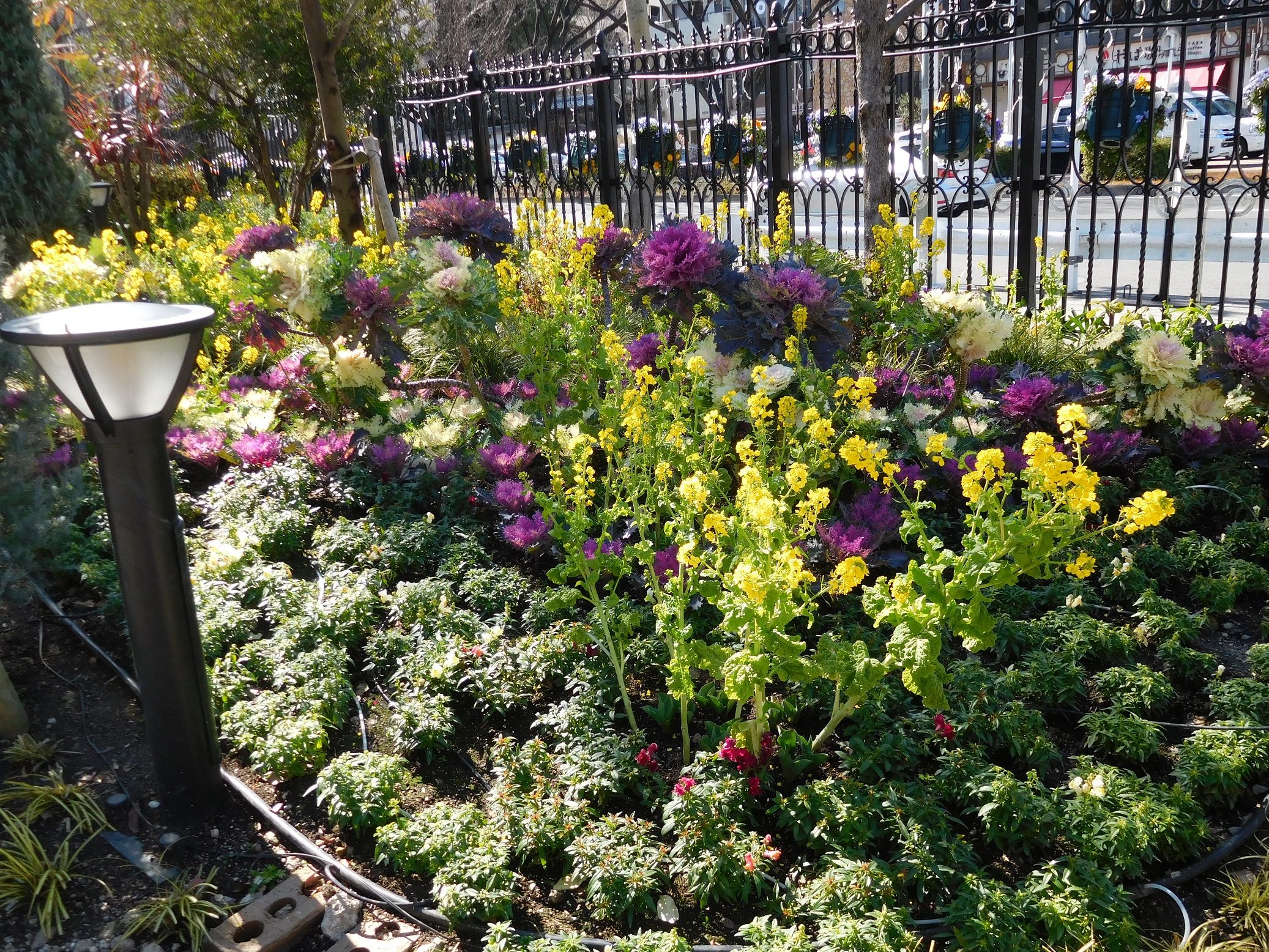 3 3の久屋大通庭園フラリエ その2 花壇やプランターの花たち ｔｅａ ｇａｒｄｅｎ ちょっとひとりごと 楽天ブログ