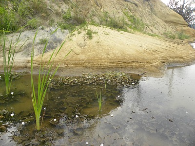 DSCN9925.jpg