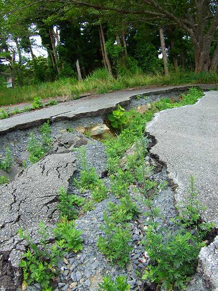 大きな地割れ