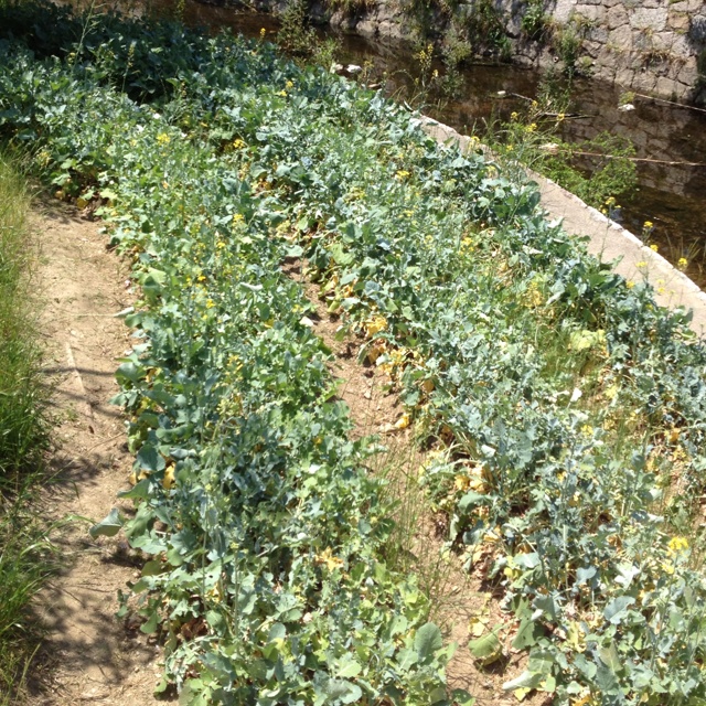rblog-20130525232248-00.jpg
