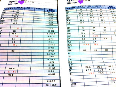 2012.5.26結果.jpg