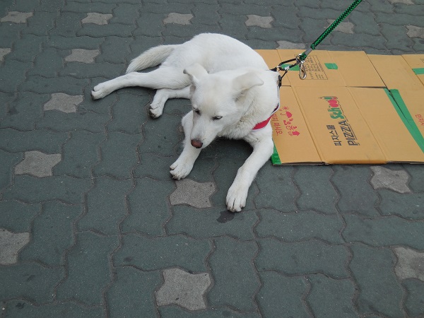 DSCN0505.jpg