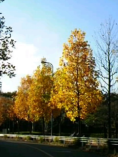 2012-11-15 16:12:09
