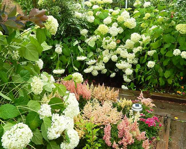 花