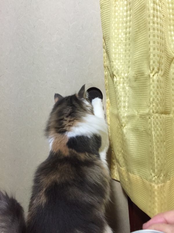 rblog-20160315091901-05.jpg