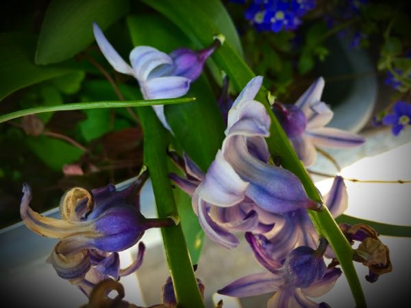 rblog-20150331174843-01.jpg