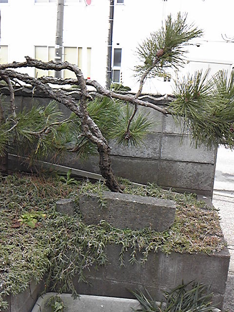 170212_110921.jpg