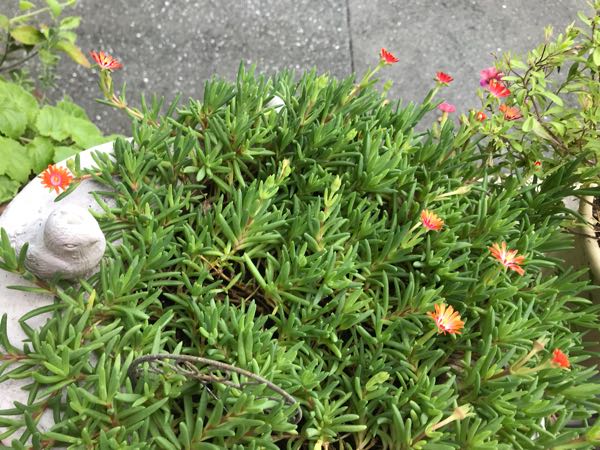 rblog-20180928162019-02.jpg